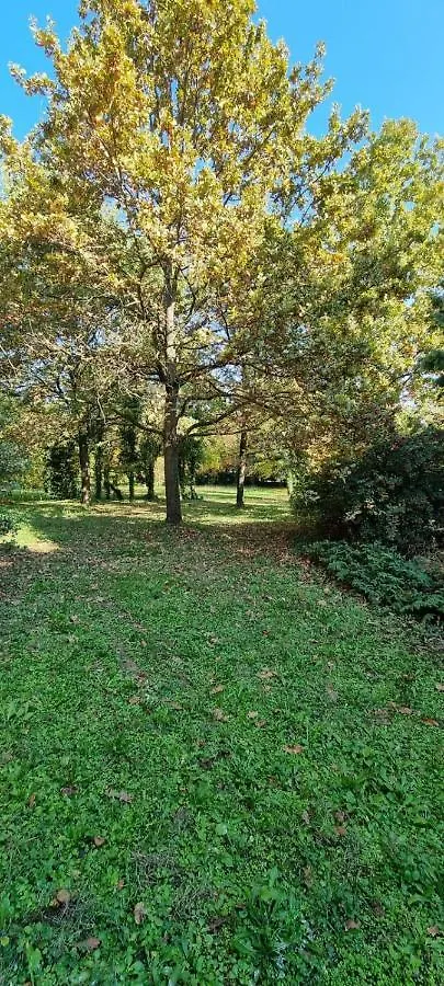 Farolfi Apartments Villa Galliera Bologna